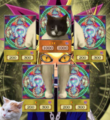 Yu-gi-oh Katzen